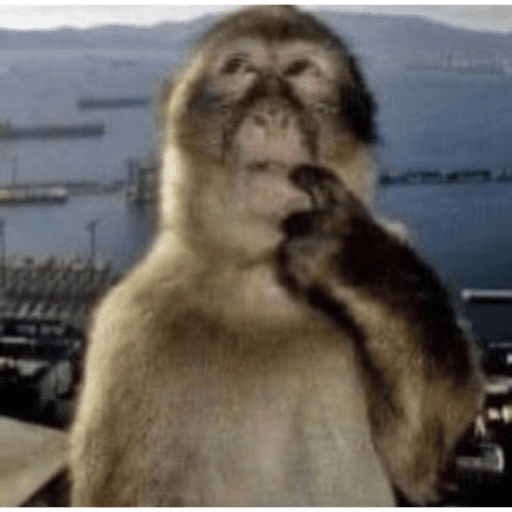 Monos 12