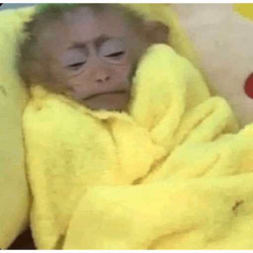 Monos 25