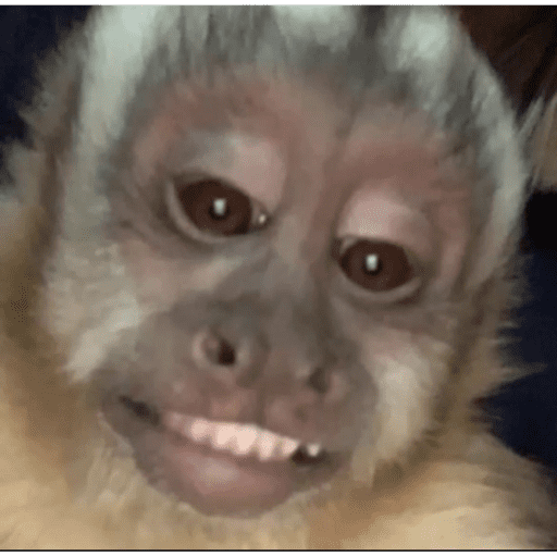 Monos 13