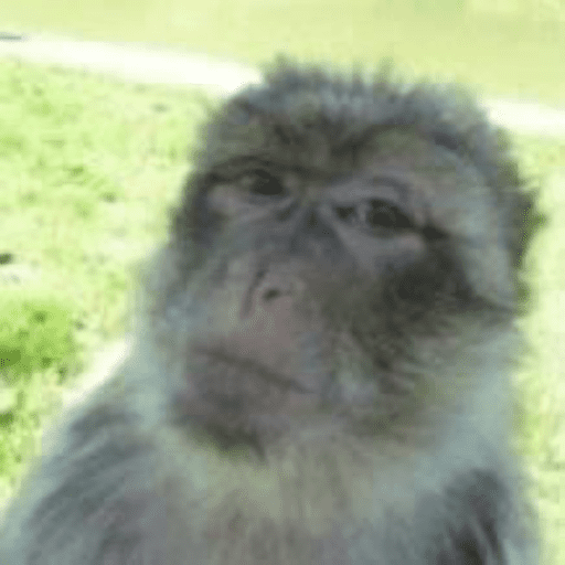 Monos 24