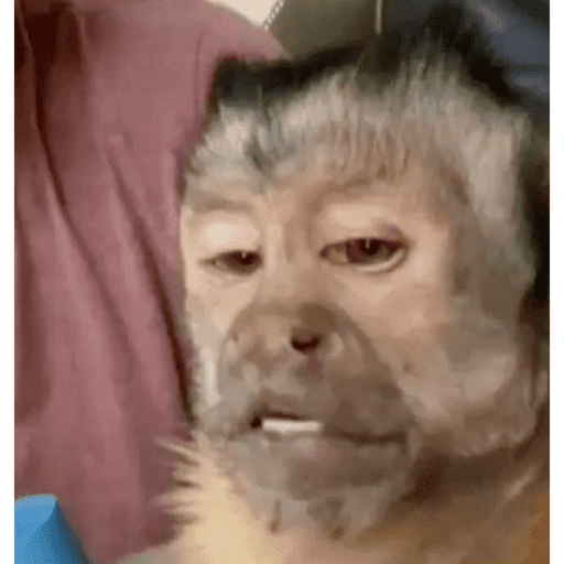 Monos 29