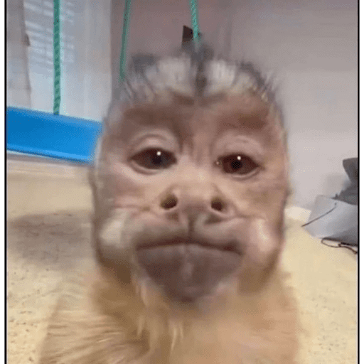 Monos 20