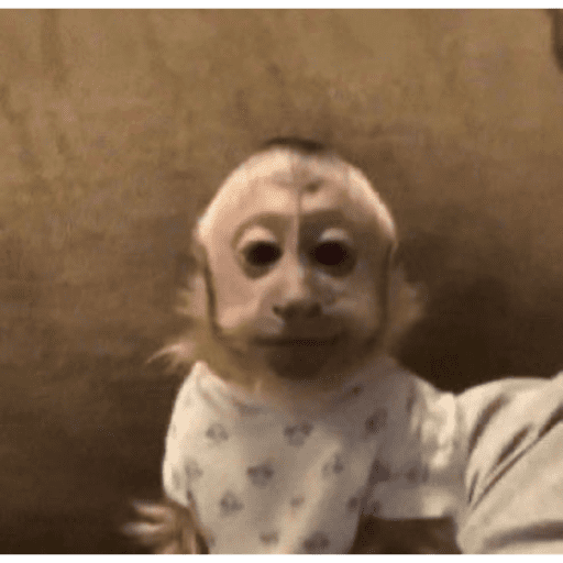Monos 27