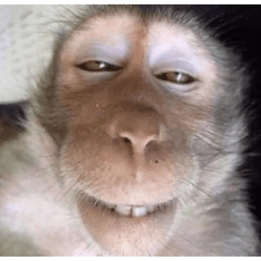 Monos 8