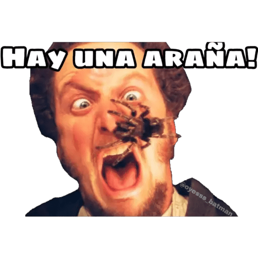 Mi pobre angelito 10