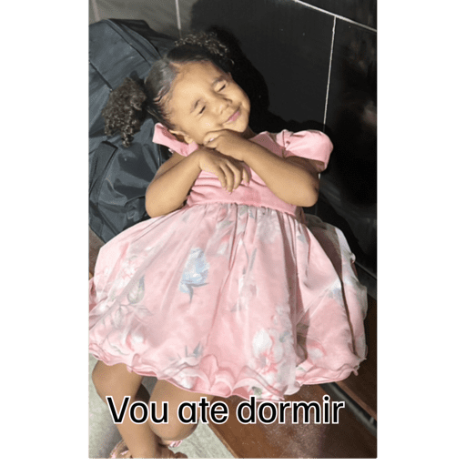 Minhas figurinhas 14