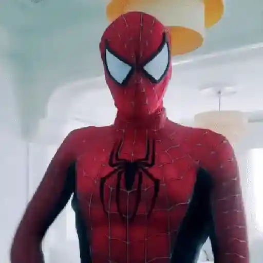 Spider-Man 1