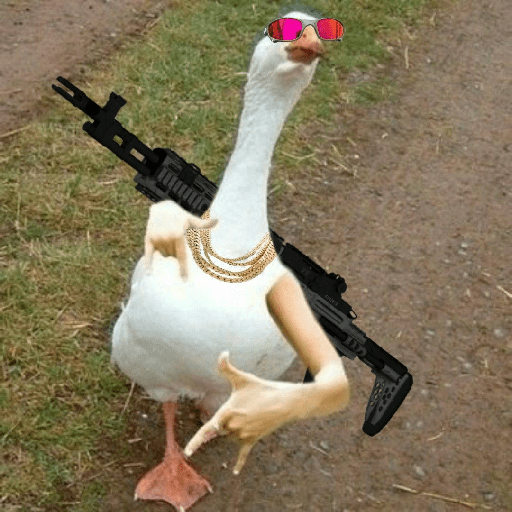 Jsnd 12