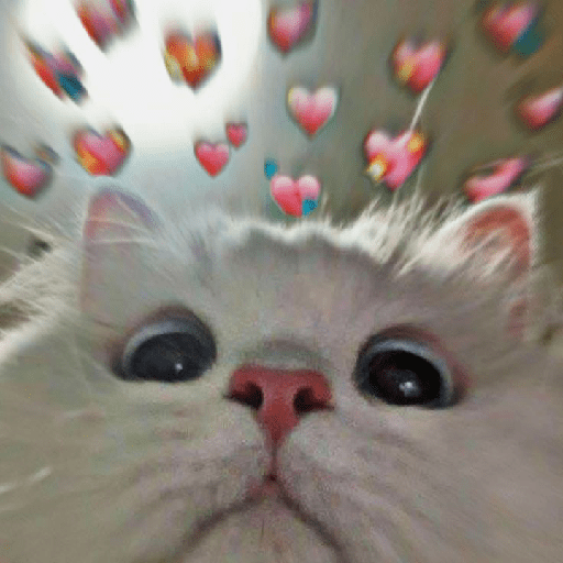 Kucing lucu