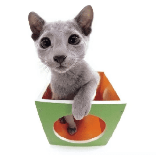 AMO GATOS PRA KRL 2