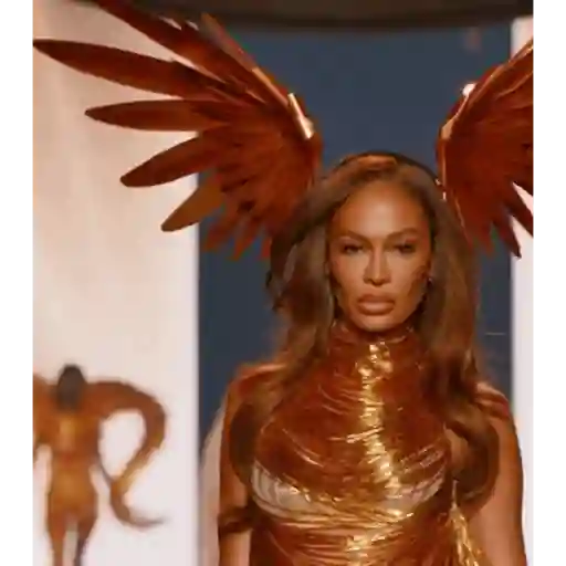 VSfs