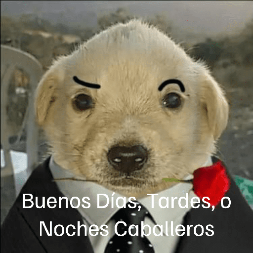 Memes sin contexto XD 3 6