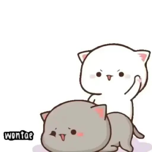 The cute love angry bubu dudu 16