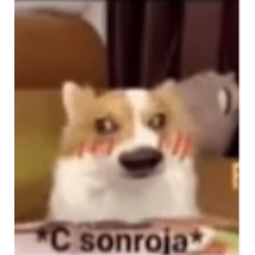 Shitppost 17 19