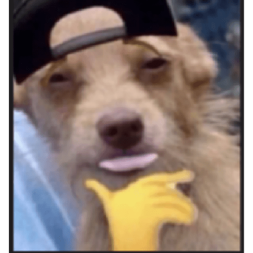 -966403327.png