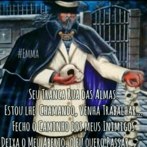 DOIDO 29
