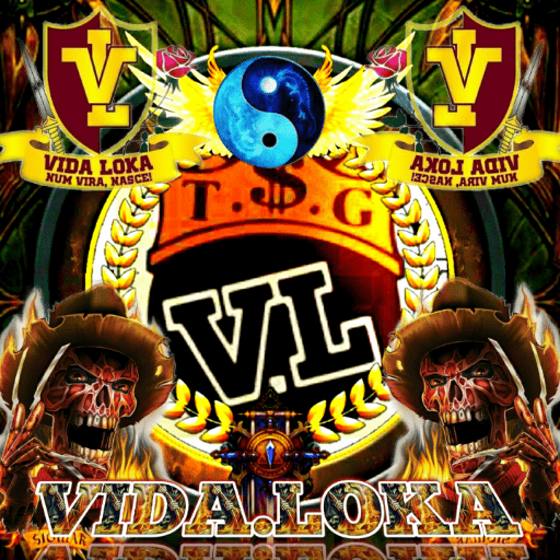 DOIDO 4