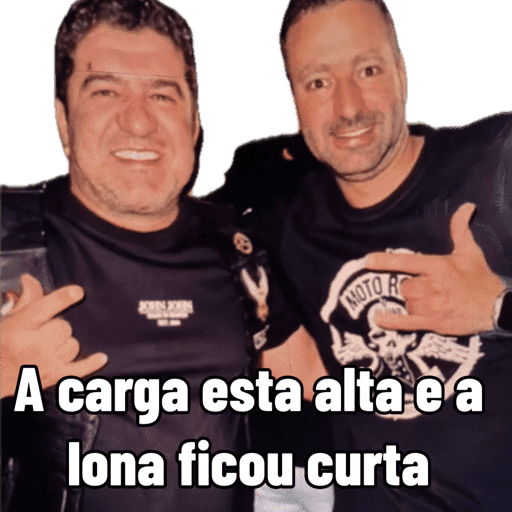Minhas figurinhas 5