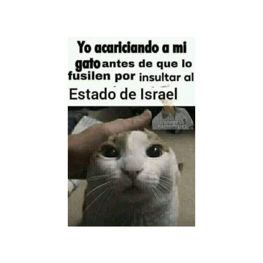 Xddd 👻👻 11