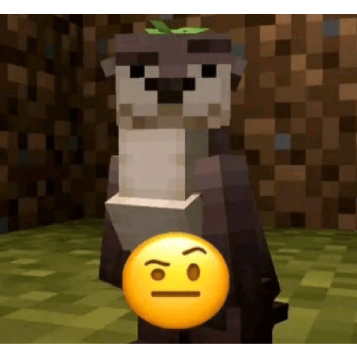 Xddd 👻👻 4