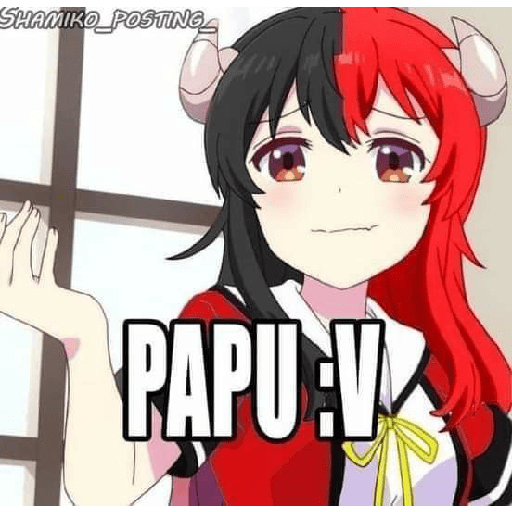 Xddd 👻👻 13