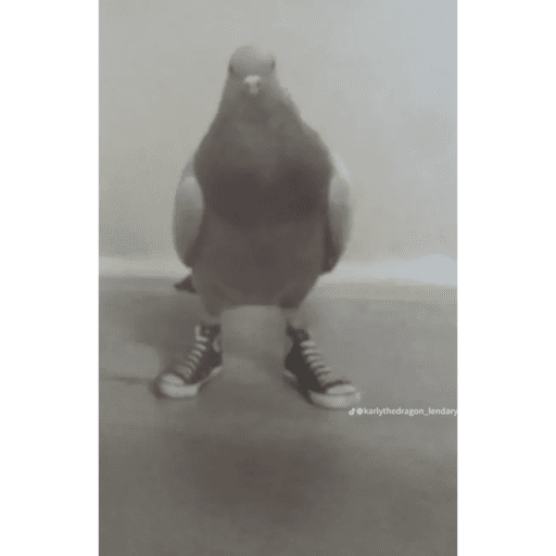 Hdhehshs 21