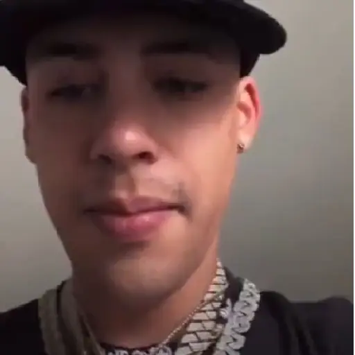 Samolepka