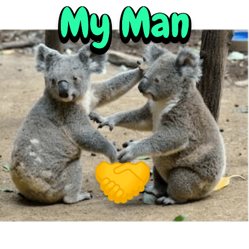 Sticker Image