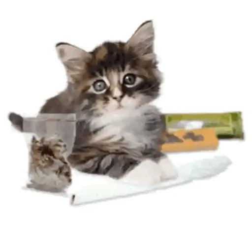 Sticker Image