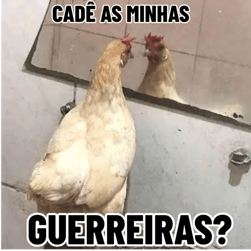 Minhas figurinhas 15