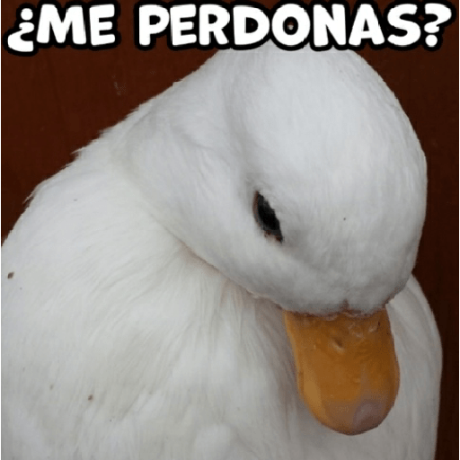 Linduras 2 3