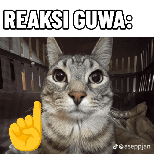 Random sticker✌️😹 2