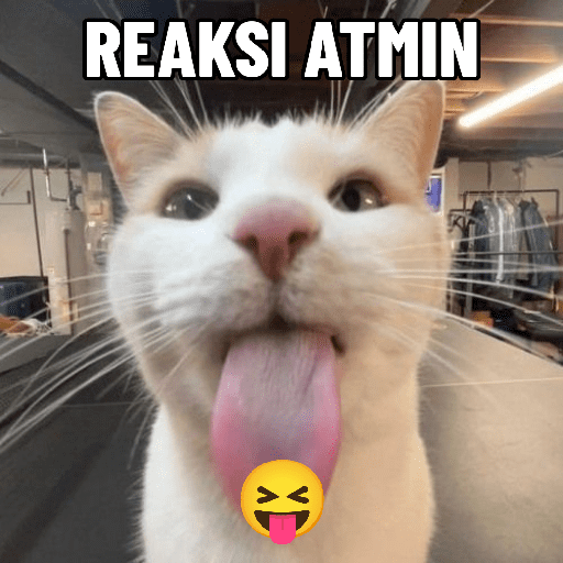 Random sticker✌️😹 29