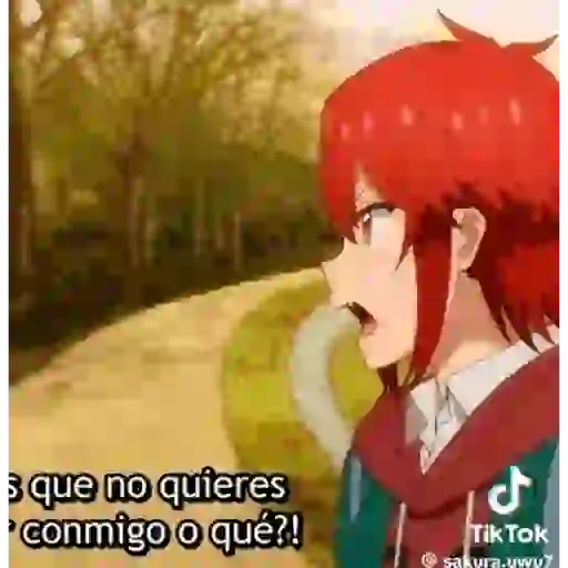 🥋= ׂ ✩̶ Tomo A. ۫ !␦ ⨳ ੭ 24