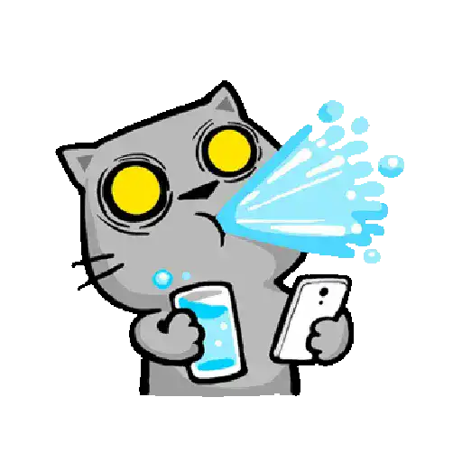 Kucing 6