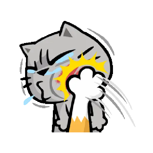 Kucing 8