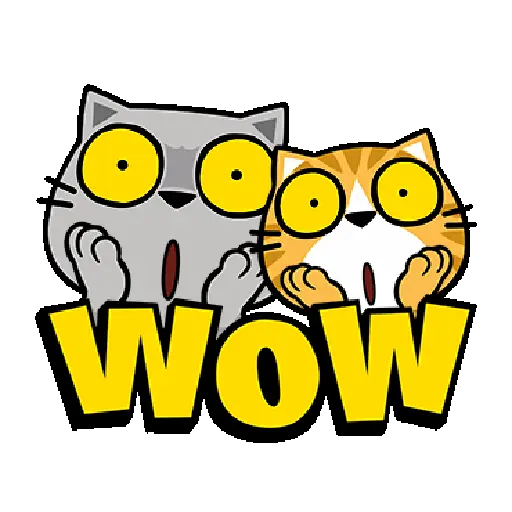 Kucing 11