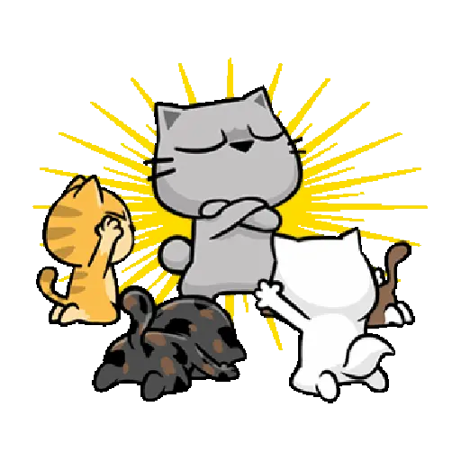 Kucing 13