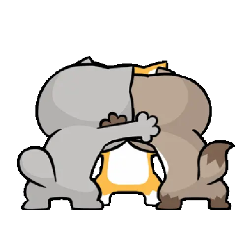 Kucing 16
