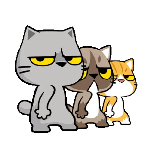 Kucing 17
