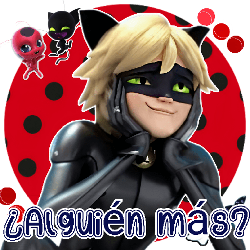 Lady Bug 🐞🐈‍⬛ 5