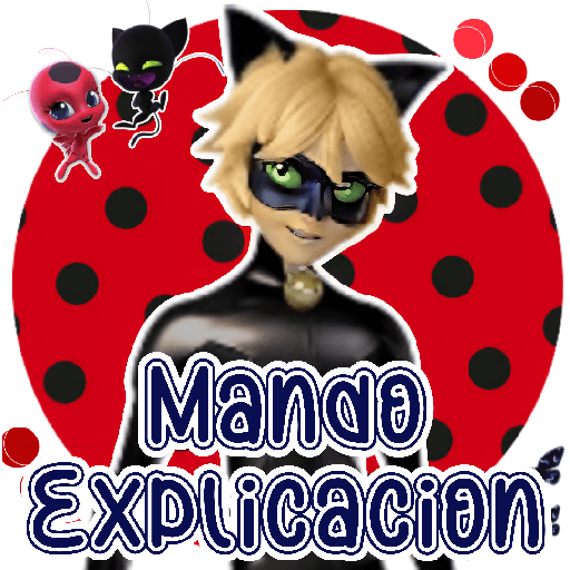 Lady Bug 🐞🐈‍⬛ 11