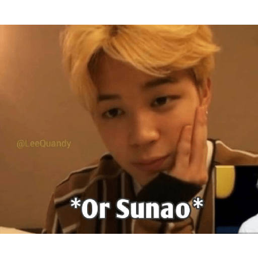 Kpop memes 17