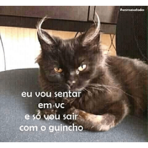 Amem irmão 26
