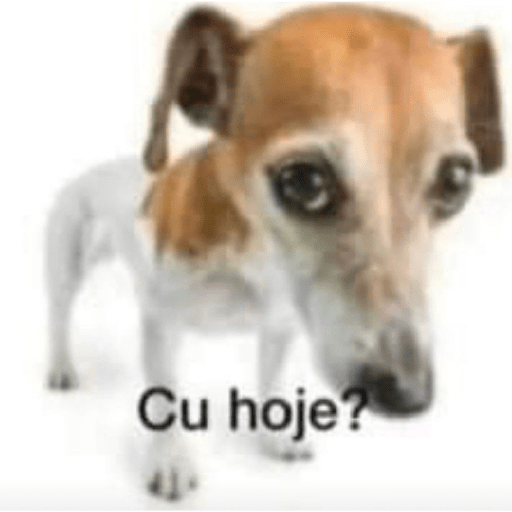 Fimosegulosa