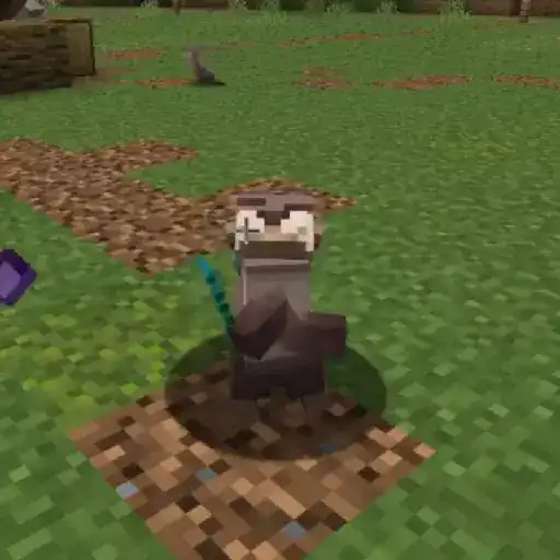 Nutria bailando 7