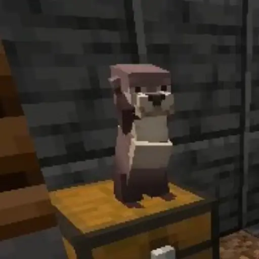 Nutria bailando 15
