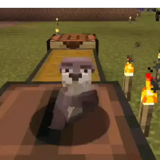 Nutria bailando 2