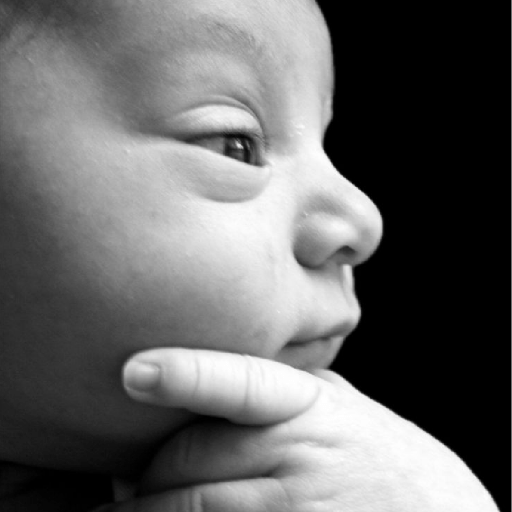 ස්ටිකර්