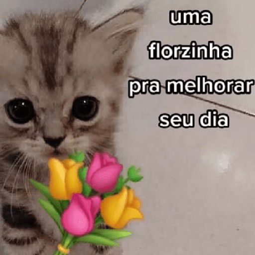 Gestos de amor ❤️🥰 8
